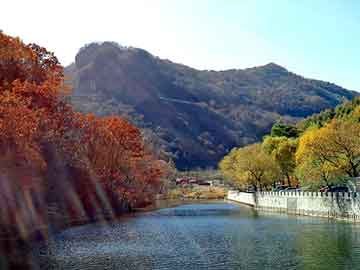 正版澳门天天开彩大全，凤凰甘油一号